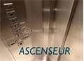 Photo numero 46975827 du bien UBI468009800